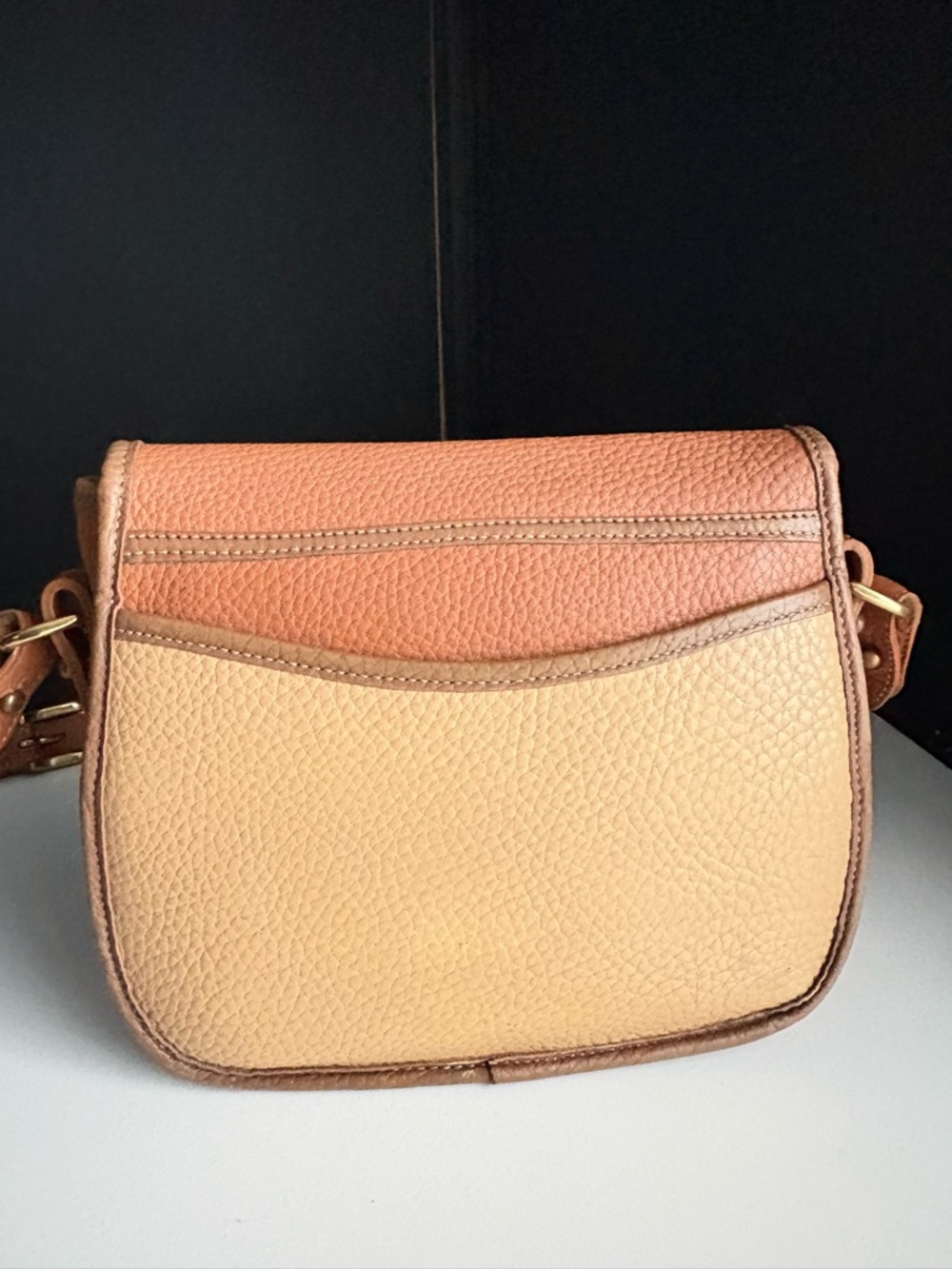 Dooney and Bourke awl Leather Teton Multi Color Crossbody - Picture 6 of 16